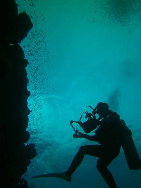 Manta Fest 2012 Photographers 