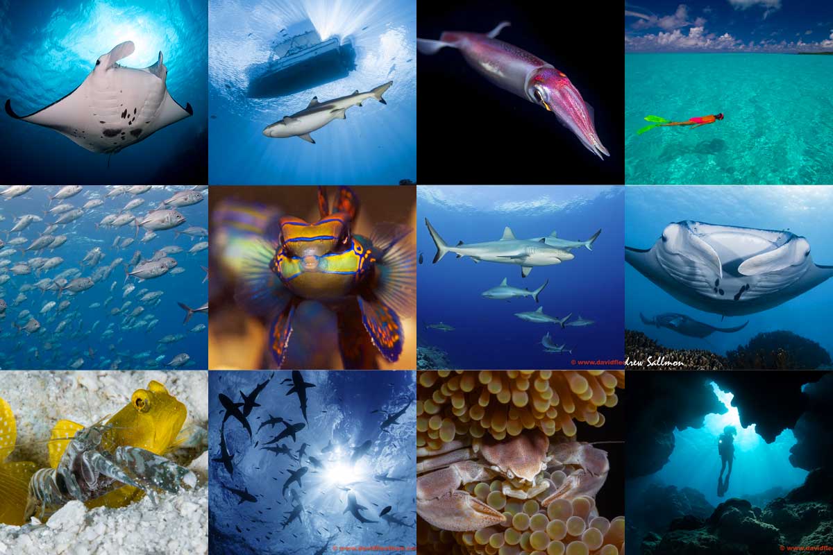 Manta Ray Bay resort; World-Class Diving; Yap; Micronesia;