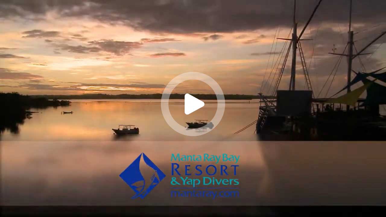 Manta Ray Bay Resort & Yap Divers in 60 Seconds