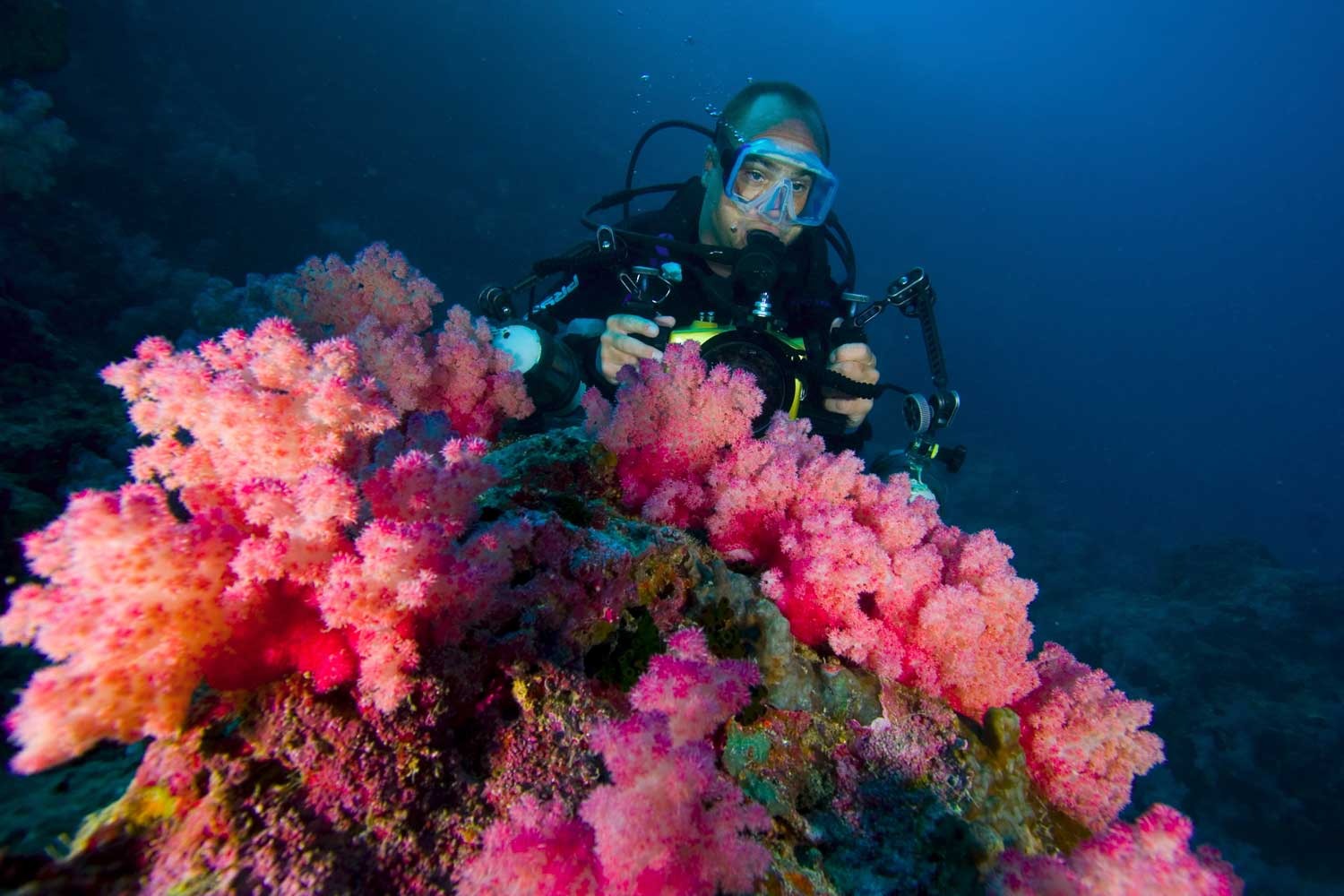 Other underwater