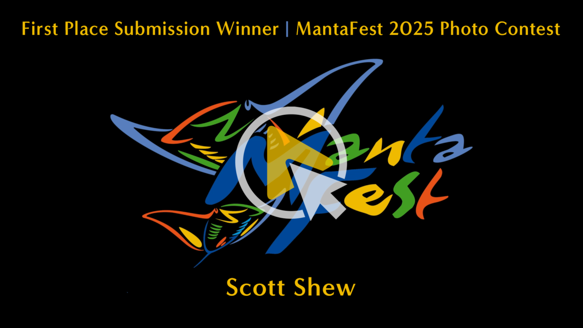 Video scott shew first place